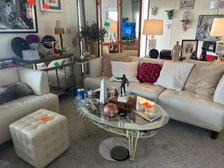 By Granite Bay Estate Sales: Citrus Height eclectic & awesome now open to public! photo